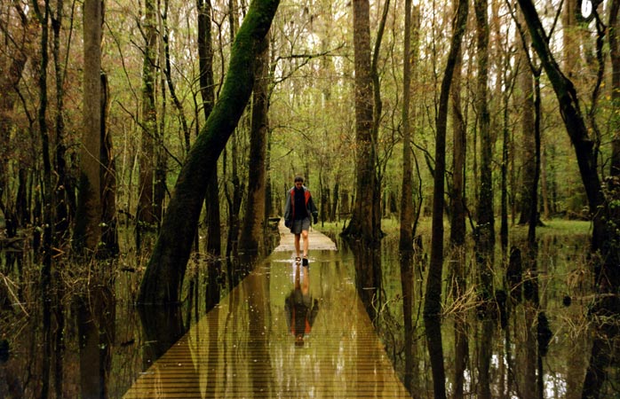 Ankles deep in South Carolina waters at Congaree National Park