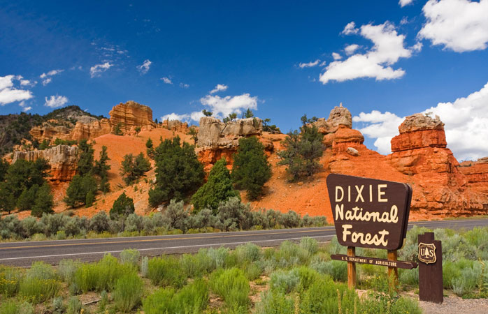 For spectacular rock formations, head on over to Dixie National Forest