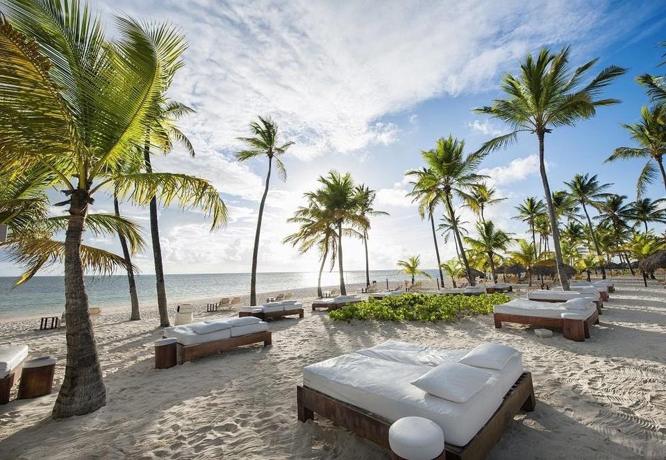 Bavaro Casino Resort Punta Cana Bavaro Casino Resort Punta Cana