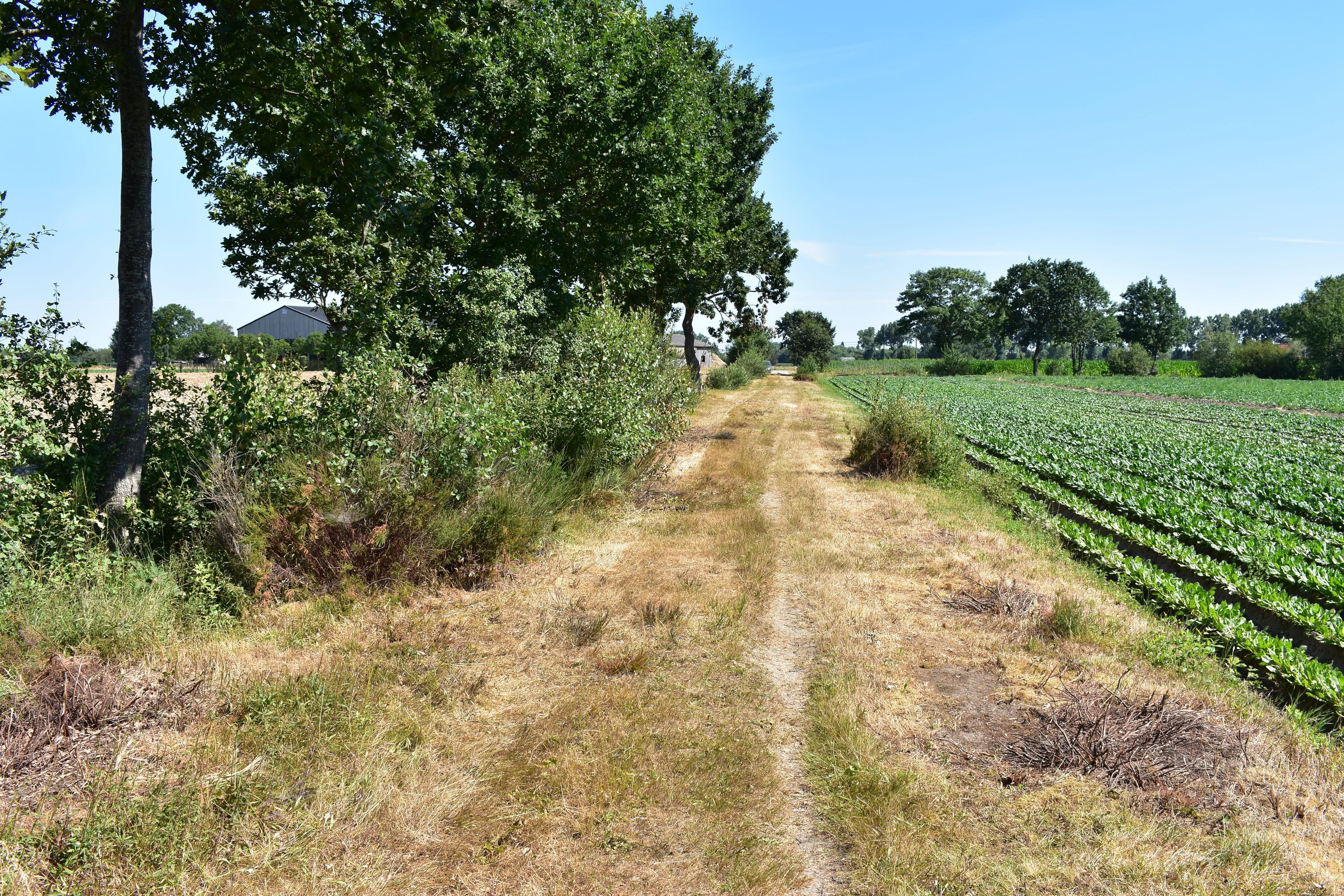 Hotels In Rust From 41 Find Cheap Rust Hotels With Momondo