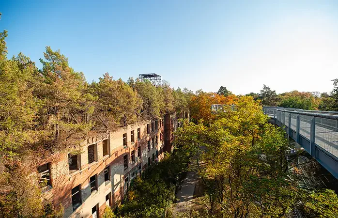 A beautiful view of the treetop path, located in Beelitz, a small city near Berlin in Brandemburg, Germany. Very colorful, sunny autumn day with lush foliage.; Shutterstock ID 1562406235; Purpose: Berlin sustainable city guide; Brand (KAYAK, Momondo, Any): momondo