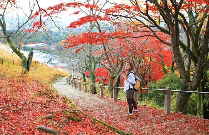 beautiful trekking girl backpacker travel to japan in autumn on mount wakakusa, natural red leaves background