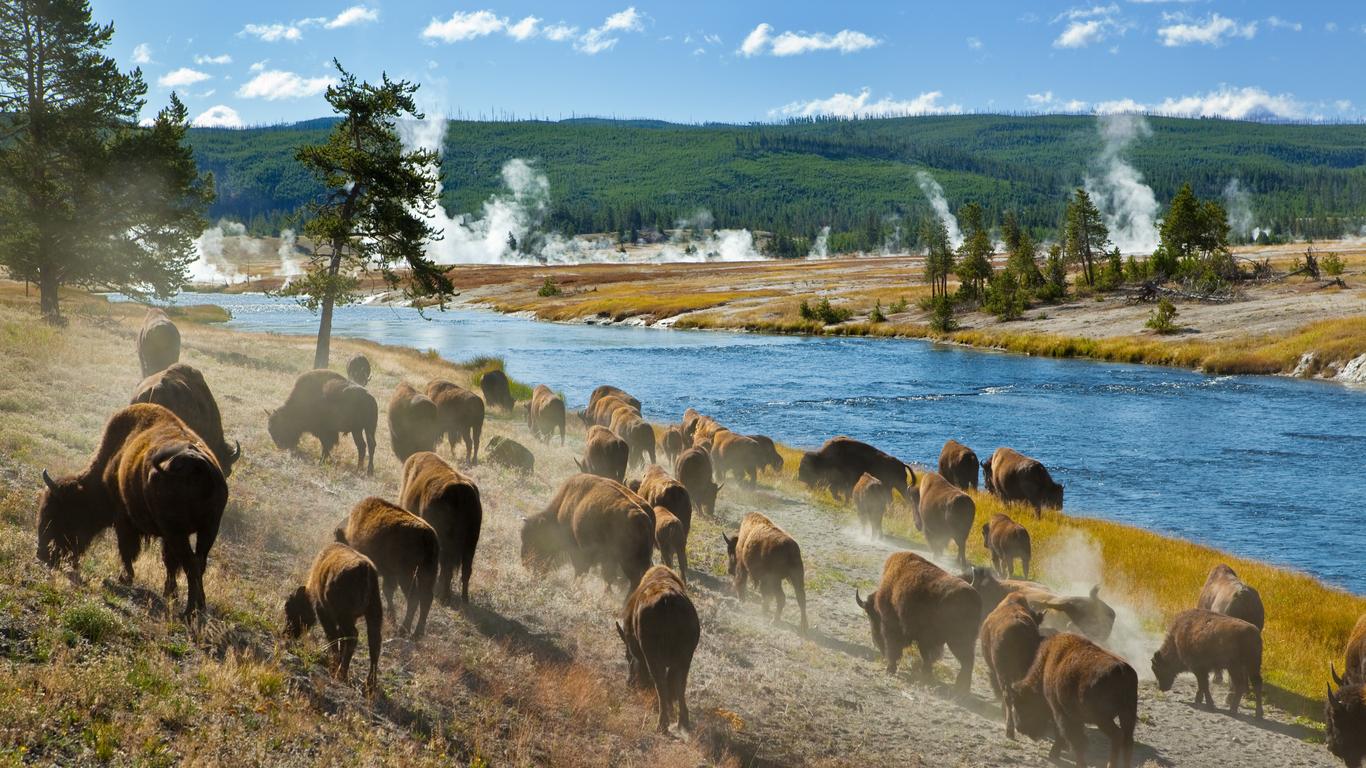 Flights to Yellowstone National Park