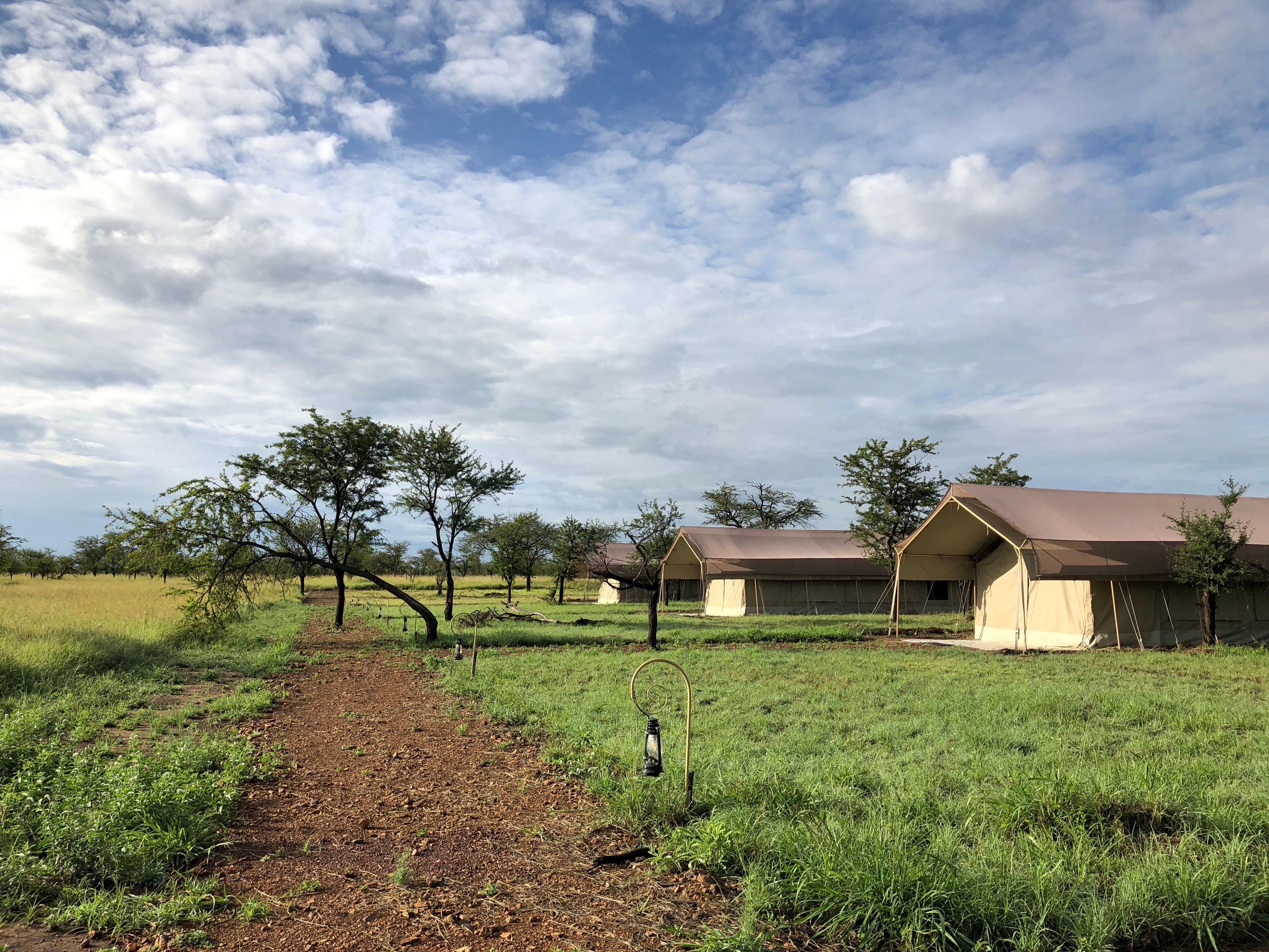 Hotels in Serengeti from $120 - Find Cheap Hotels with momondo