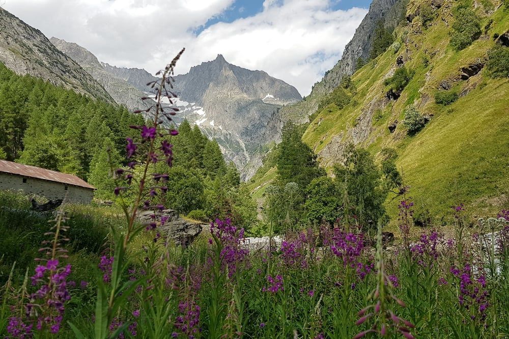 Outdoors view