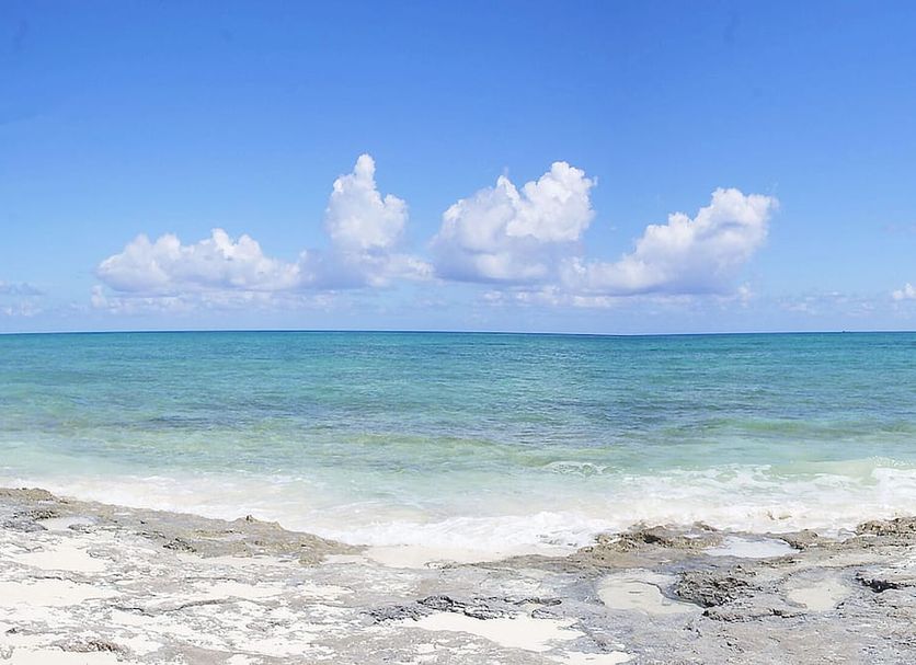 Beach Photo
