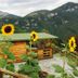 Outdoors view