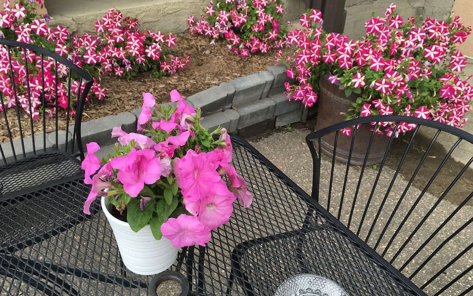 Patio Photo