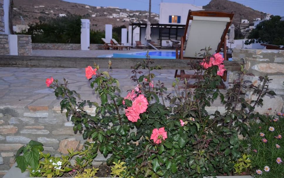 Other Photo
