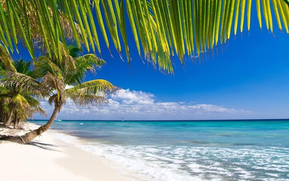 Beach Photo