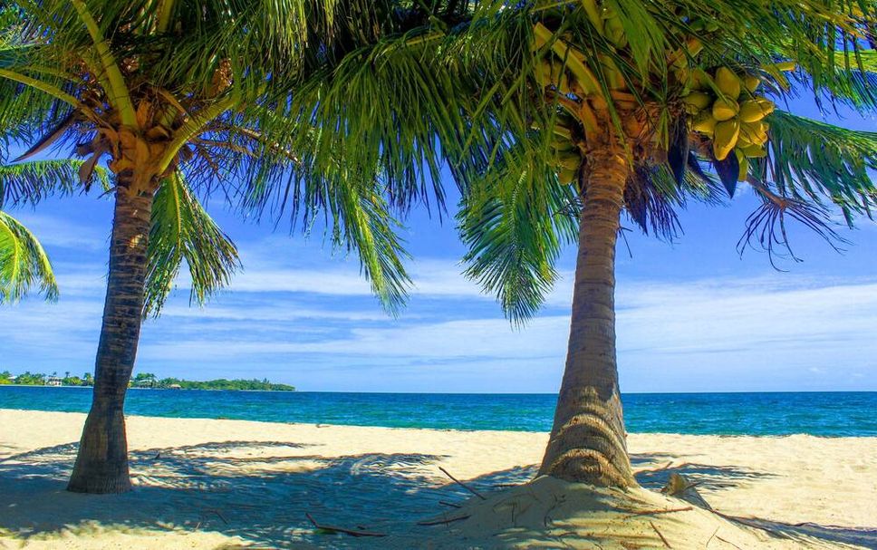 Beach Photo