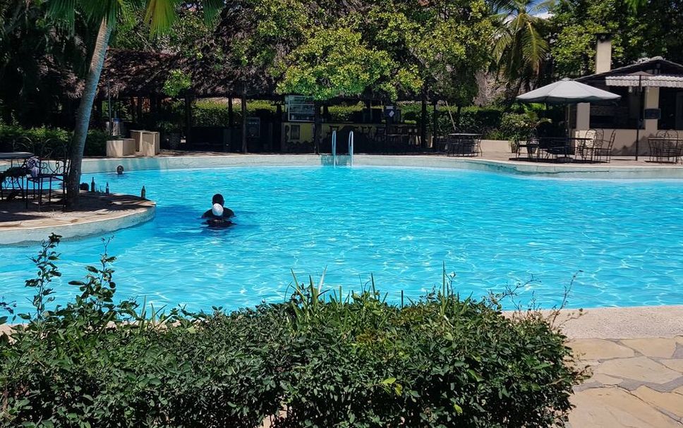 Pool Photo