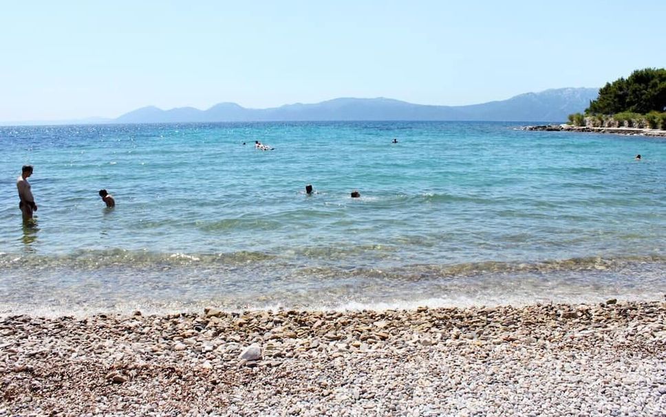 Other Photo
