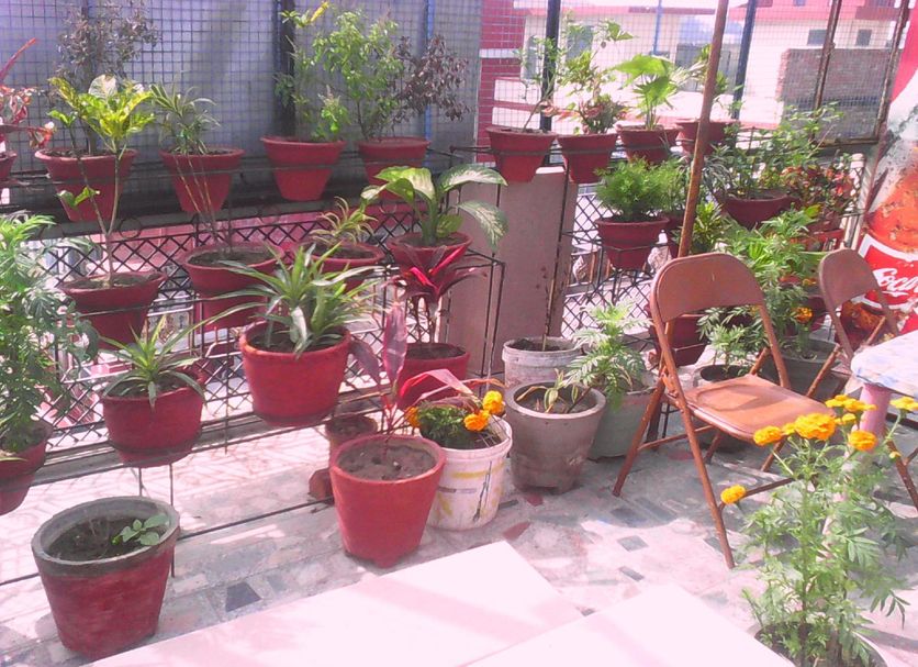 Patio Photo