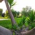 Outdoors view
