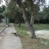 Outdoors view