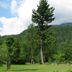 Outdoors view