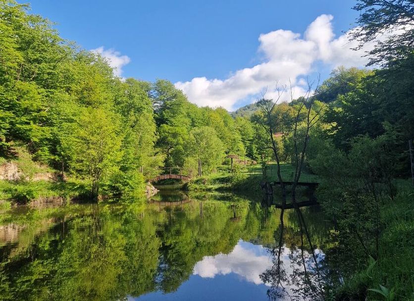 Outdoors view Photo