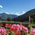 Outdoors view