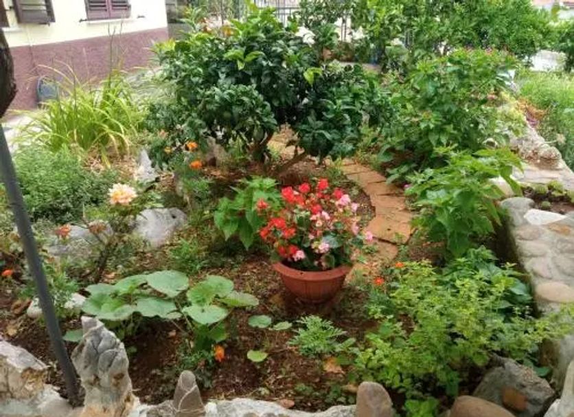 Outdoors view Photo