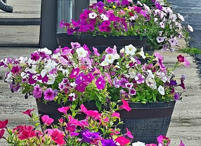 Outdoors view Photo