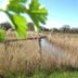 Outdoors view