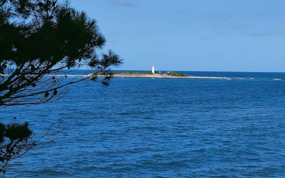 Other Photo