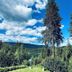Outdoors view