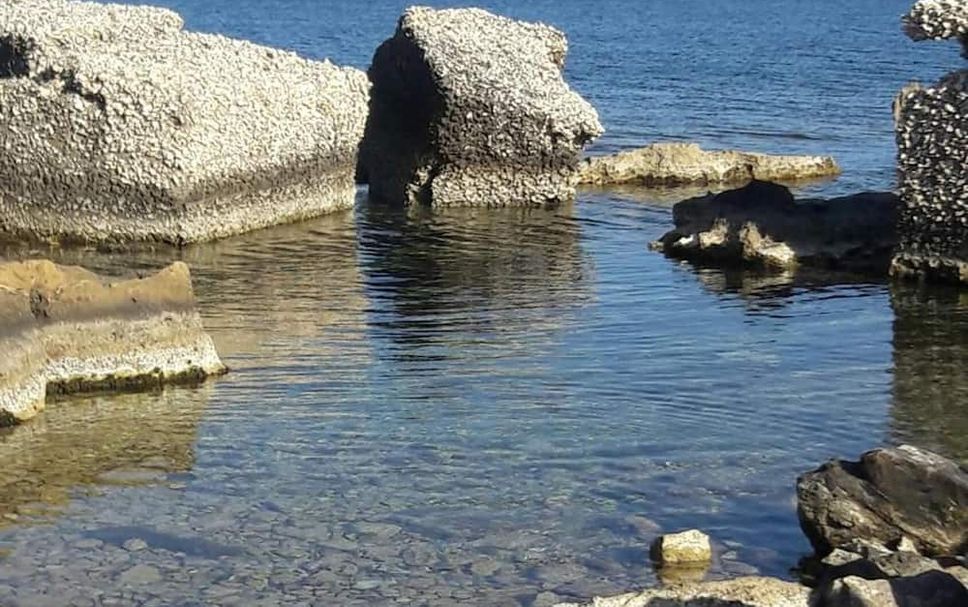 Other Photo