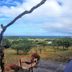 Outdoors view