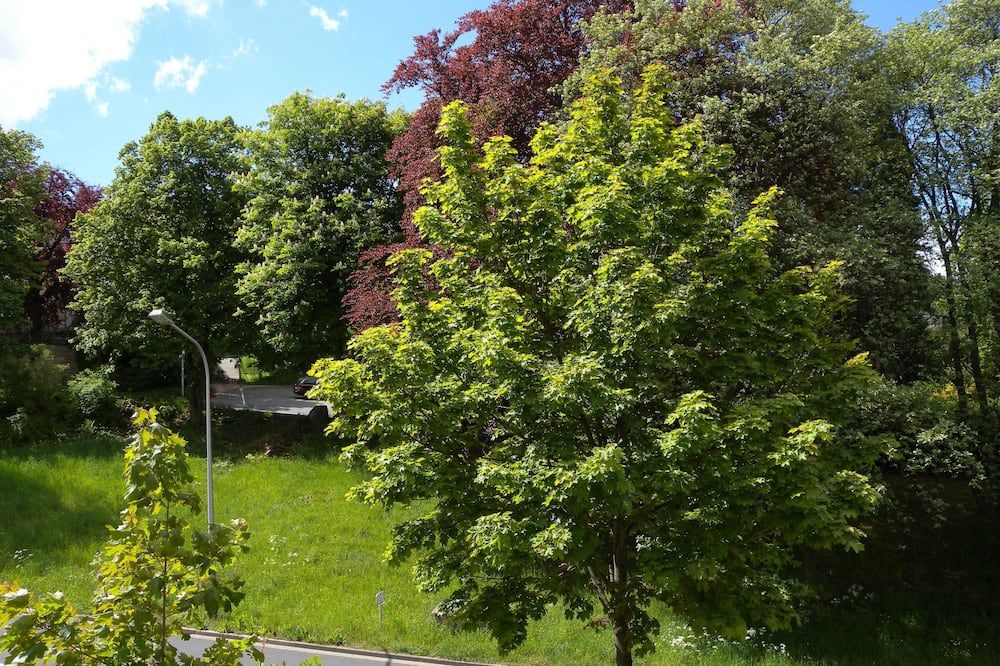 Outdoors view