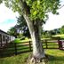 Outdoors view