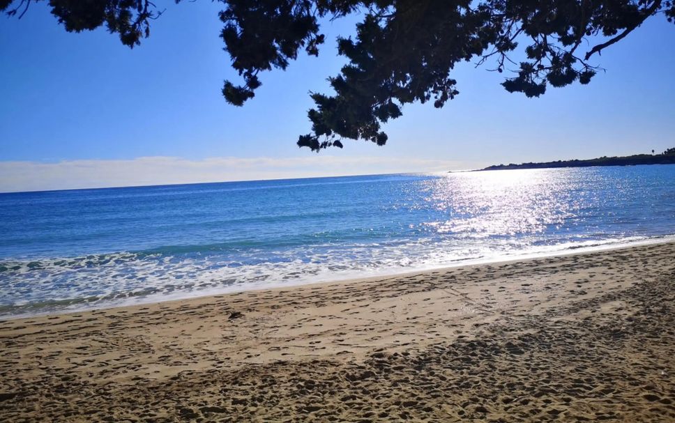 Beach Photo