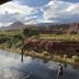 Outdoors view