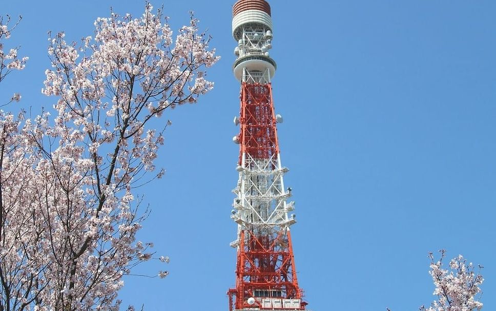 Other Photo