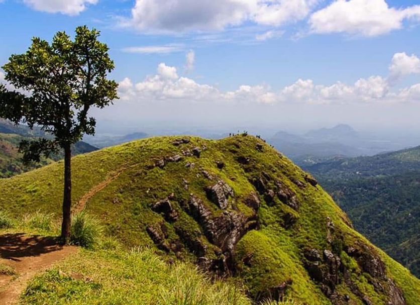 Outdoors view Photo