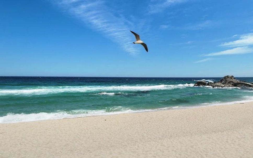 Beach Photo