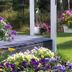 Outdoors view