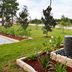 Outdoors view