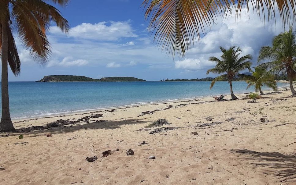 Beach Photo