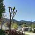 Outdoors view