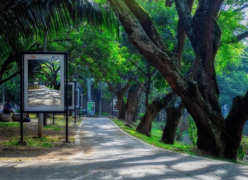 Outdoors view Photo