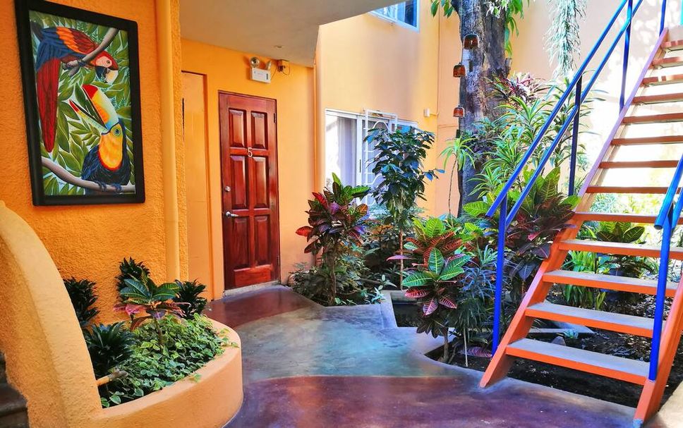 Stairs Photo