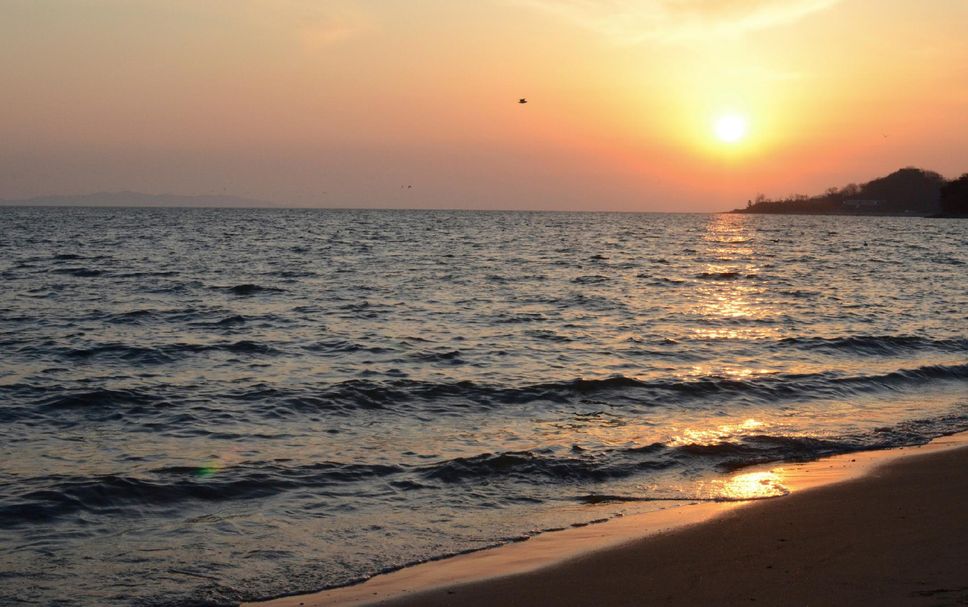 Beach Photo