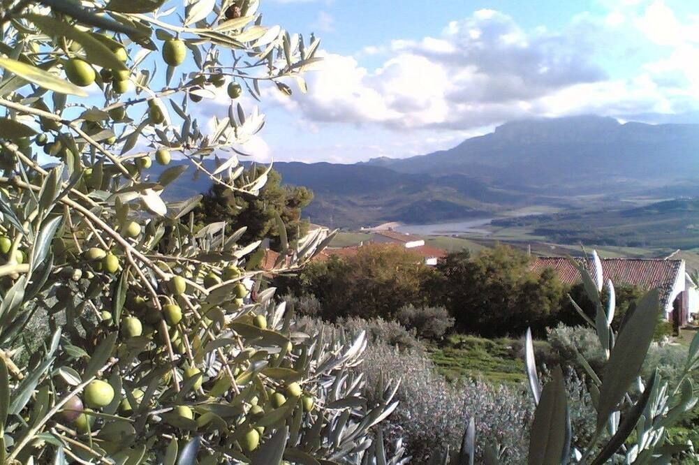 Outdoors view