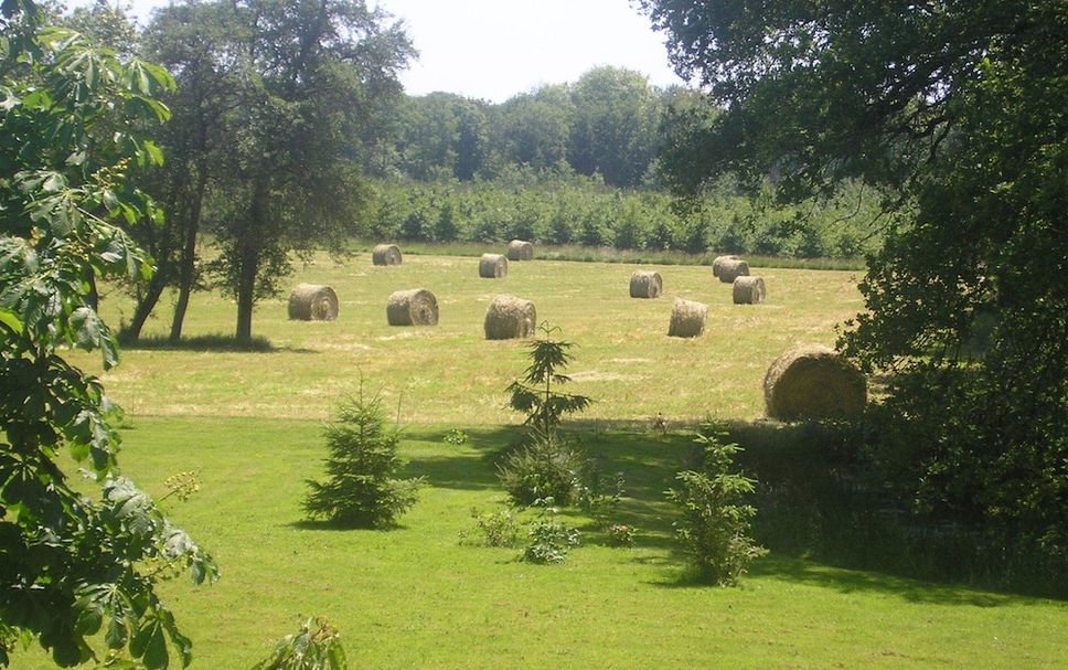 Outdoors view Photo