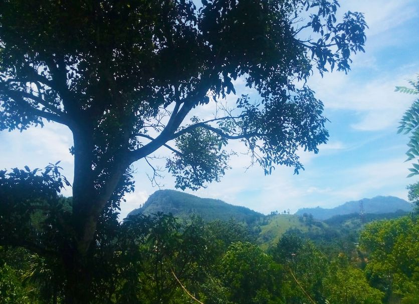 Outdoors view Photo