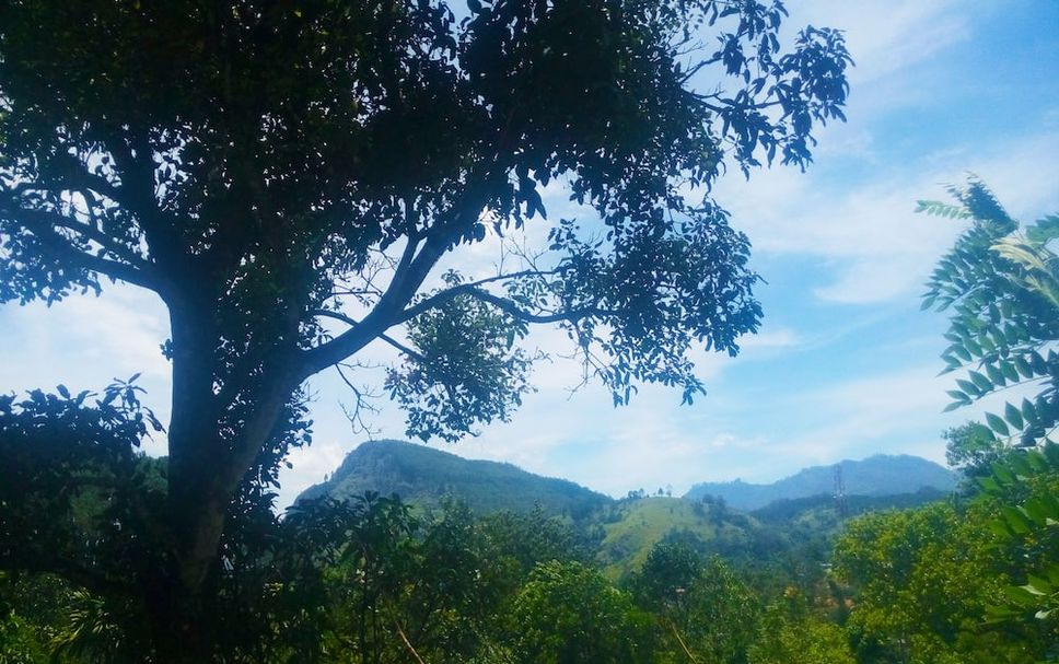 Outdoors view Photo
