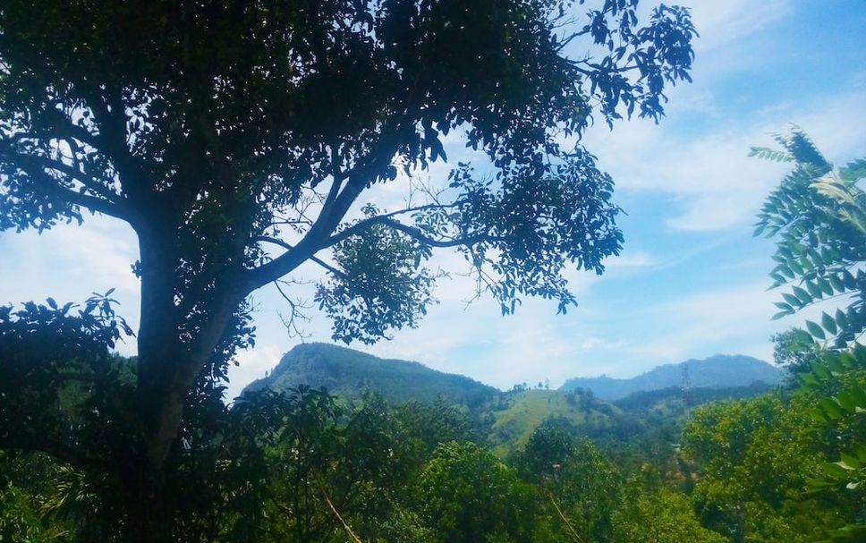 Outdoors view Photo