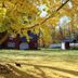 Outdoors view